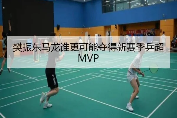 樊振东马龙谁更可能夺得新赛季乒超MVP